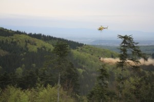 Hilfe für den Waldboden aus der Luft 