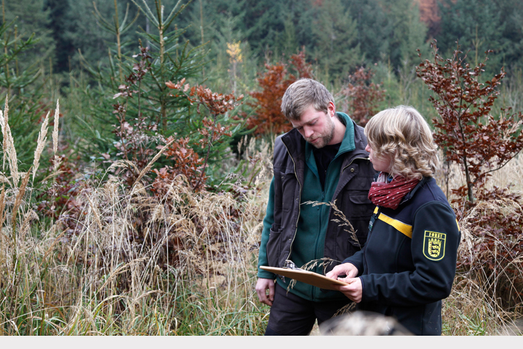 Zwei Personen bei Beratung im Wald