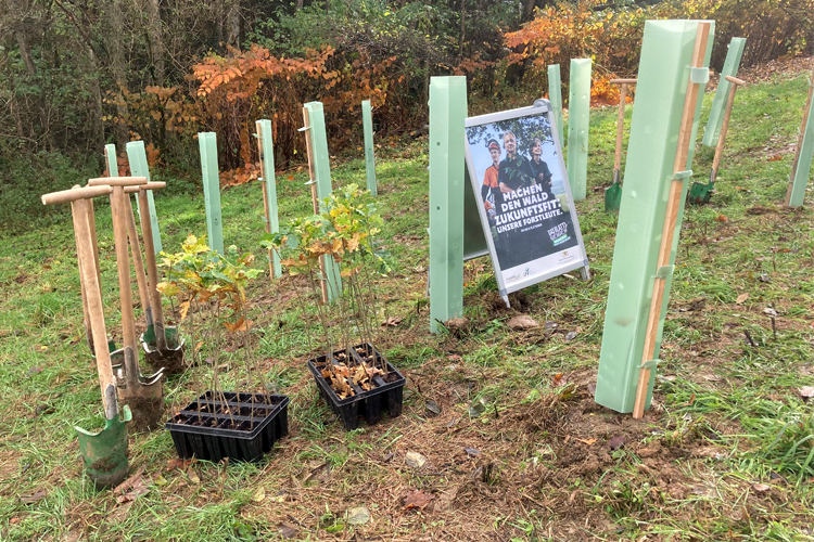 Pflanzaktion im Wald