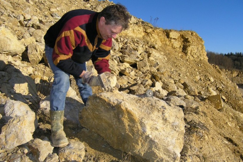 Geopark Schwäbische Alb - Fossiliensammler