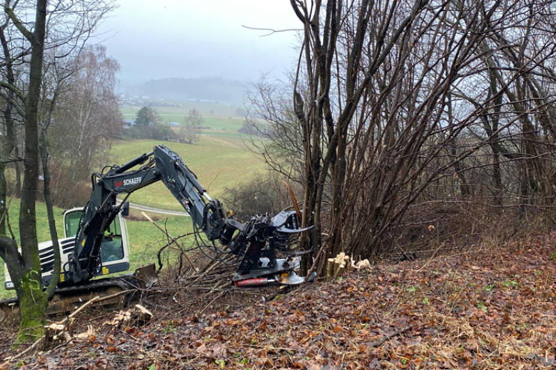 Heckenpflege durch Stockhieb mit dem Fällgreifer