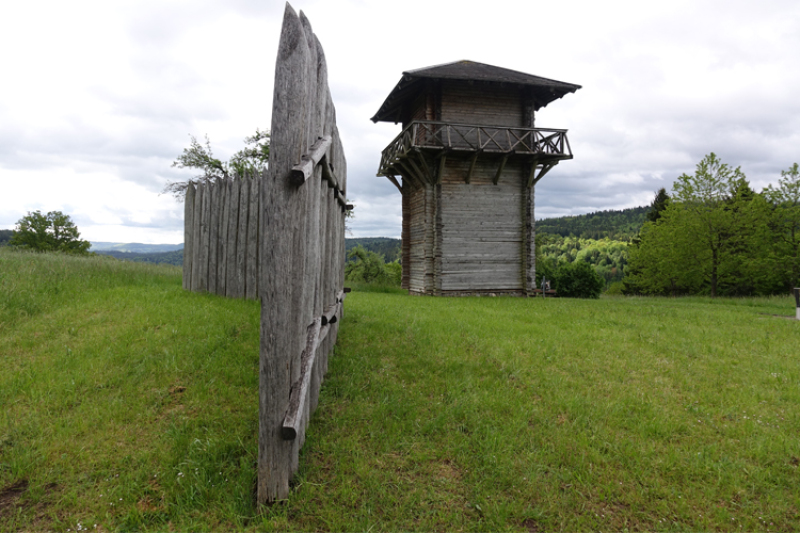 Wiese mit Holzzaun und Holzturm