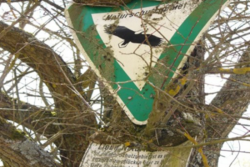 Baum mit Beschilderung Naturschutzgebiet