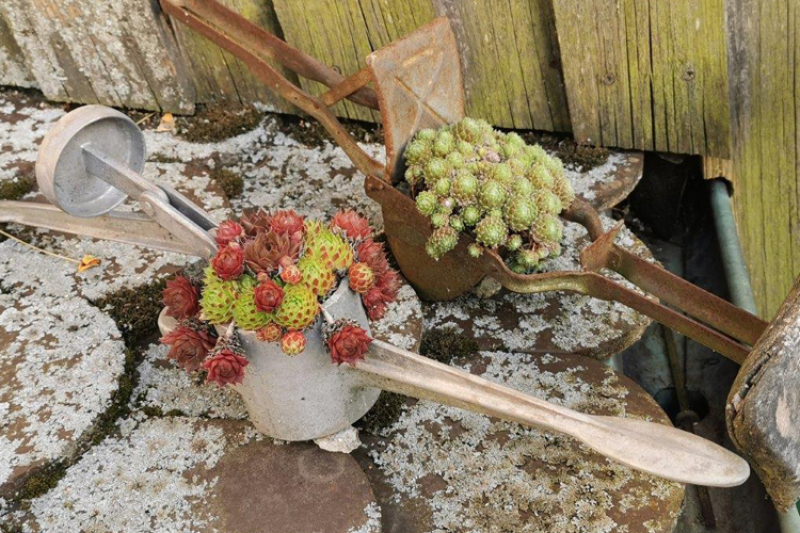 Auftaktveranstaltung am 18.05.2022 in Neresheim-Elchingen zum mehrteiligen Workshop zum Thema 'Natur sucht Platz im Garten'