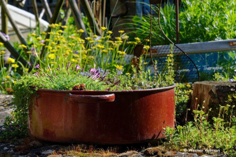 Auftaktveranstaltung am 18.05.2022 in Neresheim-Elchingen zum mehrteiligen Workshop zum Thema 'Natur sucht Platz im Garten' (Foto: Werner Volmari)