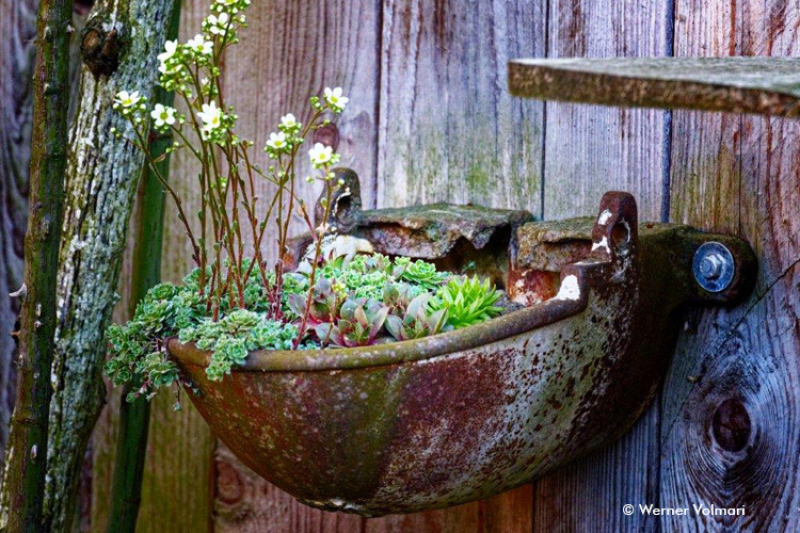 Auftaktveranstaltung am 18.05.2022 in Neresheim-Elchingen zum mehrteiligen Workshop zum Thema 'Natur sucht Platz im Garten' (Foto: Werner Volmari)