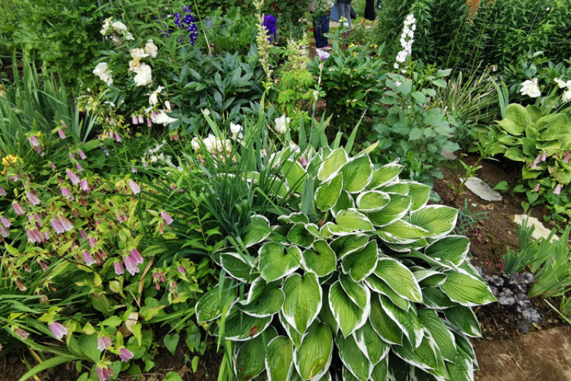 Natur sucht Platz im Garten - Dritter Workshop in Essingen