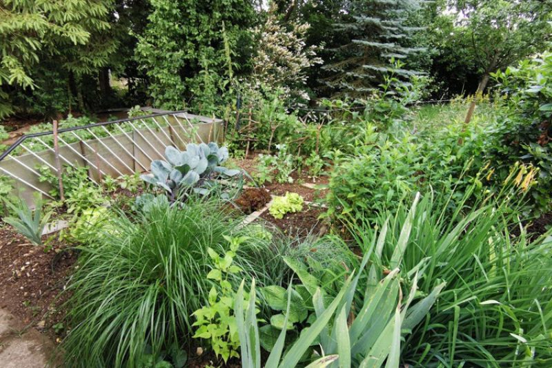 Natur sucht Platz im Garten - Dritter Workshop in Essingen