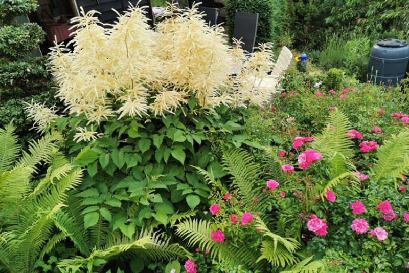 Natur sucht Platz im Garten - Dritter Workshop in Essingen