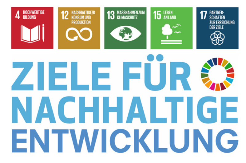 Die Ziele der UN-Agenda 2030 in der Waldpädagogik