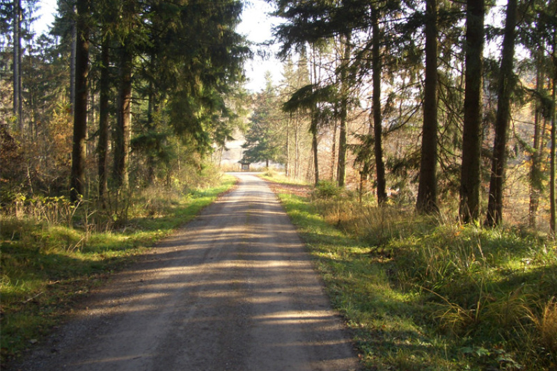 Forstlicher Wegebau