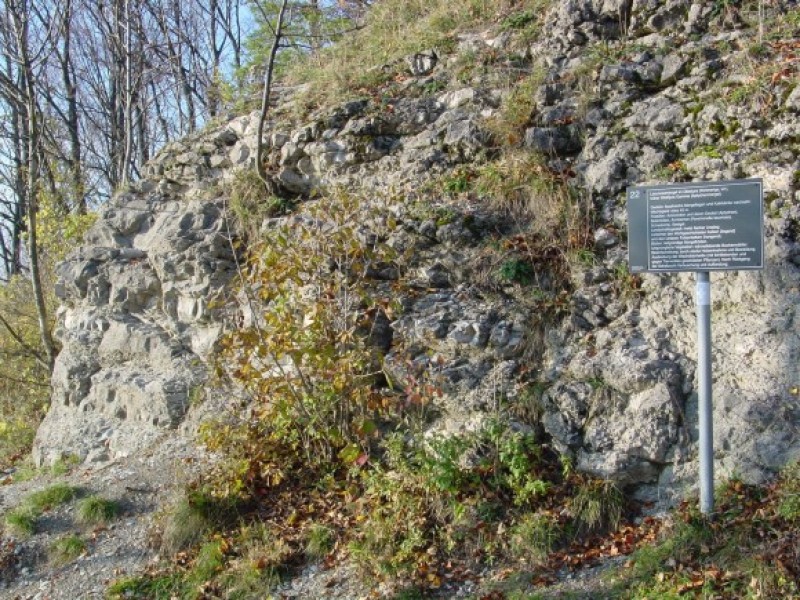 Geologischer Pfad Schwäb. Gmünd-Hohenrechberg - Schwammriff
