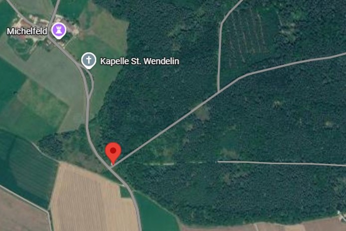 Fichtenbewirtschaftung in Zeiten des Klimawandels - Infotag für Waldbesitzende in Bopfingen-Michelfeld am 25. September 2026<br />
