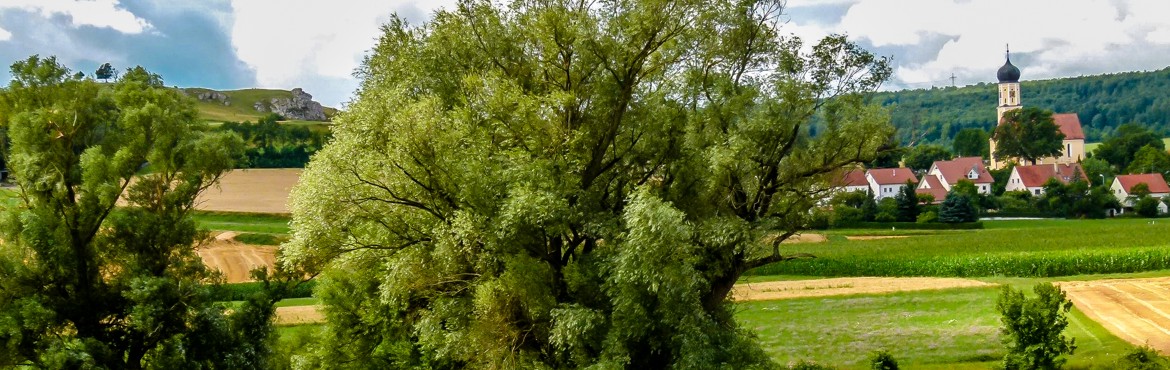 Ein Auwäldle an der Eger bei Riesbürg-Utzmemmingen, aufgenommen von H. Leuchte.