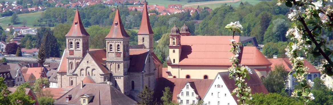 Blick über die Evangelische Stadtkirche und Basilika in Ellwangen, aufgenommen von P. Wolf.