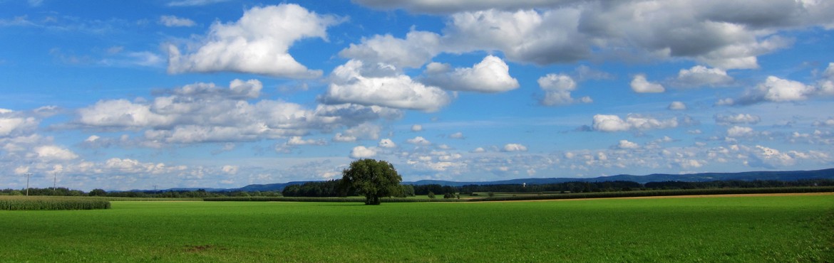 Der Grüne Pfad bei Eschach, aufgenommen von R. Endreß.