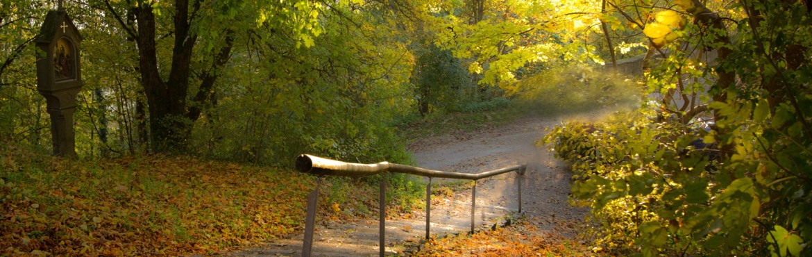 Ein herbstliche Waldweg bei Schwäbisch Gmünd-Rechberg, aufgenommen von G. Bracke.