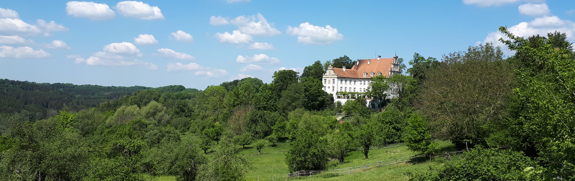 Das Schloss Neubronn bei Abtsgmünd, aufgenommen von B. Wiedmann.